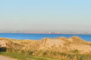 6225 Forest Ave, Gary, IN 46403 - Photo 132