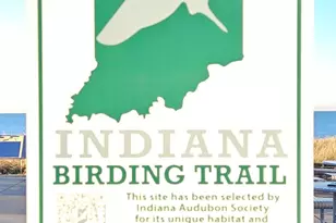 6225 Forest Ave, Gary, IN 46403 - Photo 134