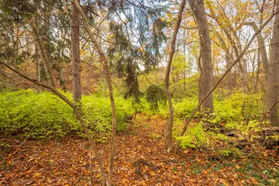 0 Ridge Rd, Long Beach, IN 46360 - Photo 18