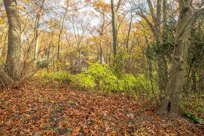 0 Ridge Rd, Long Beach, IN 46360 - Photo 12