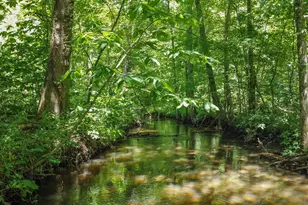 112 E 900 N, La Porte, IN 46350 - Photo 38