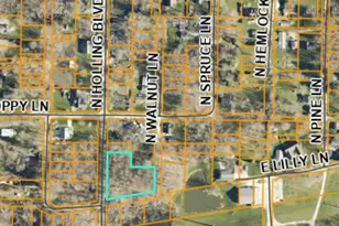 0 N Holling Blvd, New Carlisle, IN 46552 - Photo 1