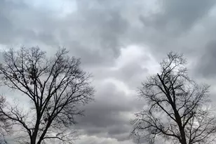 0 Pine St & Cannon Dr-Ne Corner, Knox, IN 46534 - Photo 1