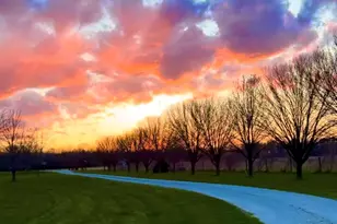 56803 Tulip Rd, New Carlisle, IN 46552 - Photo 24