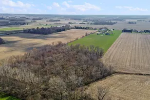 56803 Tulip Rd, New Carlisle, IN 46552 - Photo 6