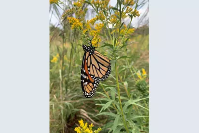 126 W 625 N, Valparaiso, IN 46385 - Photo 68