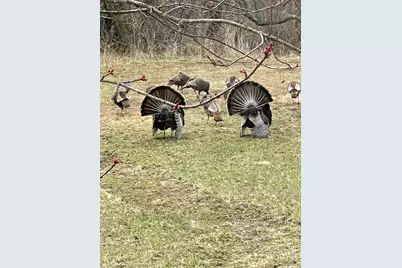 126 W 625 N, Valparaiso, IN 46385 - Photo 66