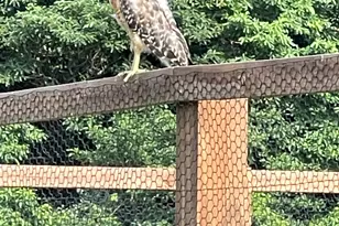 126 W 625 N, Valparaiso, IN 46385 - Photo 70