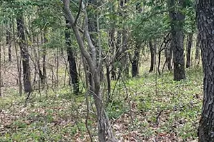 10411 Cynthia Ln, Wheatfield, IN 46392 - Photo 2