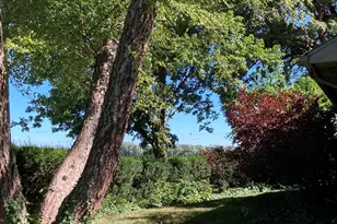 15301 W Clark St, Rensselaer, IN 47978 - Photo 10