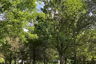 15301 W Clark St, Rensselaer, IN 47978 - Photo 8