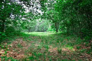 579 E 800 N, Wheatfield, IN 46392 - Photo 34