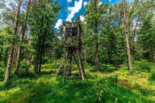 579 E 800 N, Wheatfield, IN 46392 - Photo 28