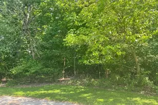 106 W 133rd Ave, Cedar Lake, IN 46303 - Photo 1