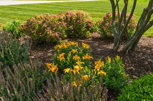 14664 Sheffield Ave, Cedar Lake, IN 46303 - Photo 56