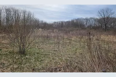446 Surrey Hill Lane, Valparaiso, IN 46385 - Photo 6