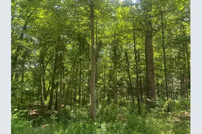 Lots 41-44 Campbell, La Porte, IN 46350 - Photo 2