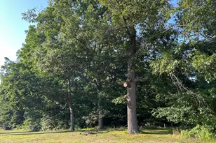 3 Lilac Ln, Grand Beach, MI 49117 - Photo 1