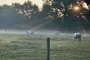 10792 N 600 E, Demotte, IN 46310 - Photo 72