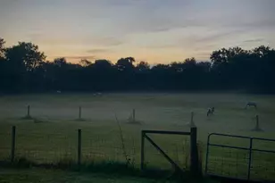 10792 N 600 E, Demotte, IN 46310 - Photo 74