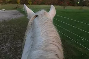 10792 N 600 E, Demotte, IN 46310 - Photo 76