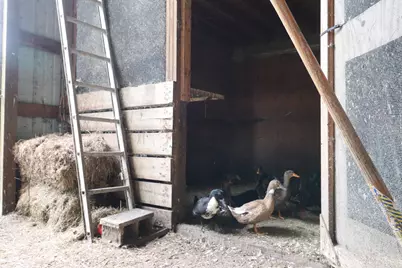 10792 N 600 E, Demotte, IN 46310 - Photo 66