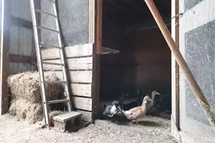 10792 N 600 E, Demotte, IN 46310 - Photo 66