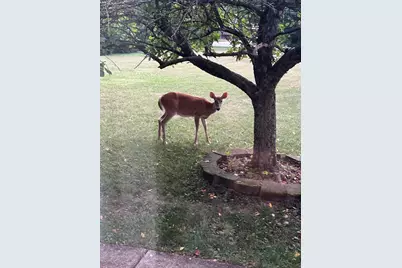 643 N 50 W, Valparaiso, IN 46385 - Photo 12