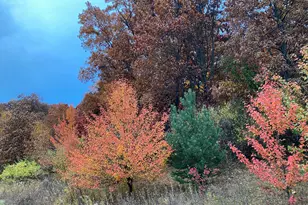 273 Bridlewood Ln, Valparaiso, IN 46385 - Photo 94