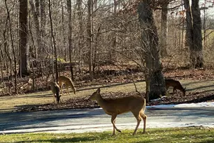 273 Bridlewood Ln, Valparaiso, IN 46385 - Photo 86
