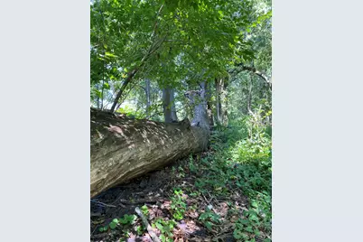 2421 Old Hobart Road, Lake Station, IN 46405 - Photo 6