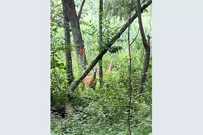 2421 Old Hobart Road, Lake Station, IN 46405 - Photo 8