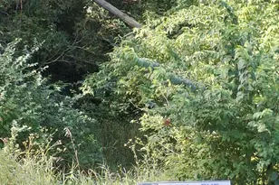 316 N Knox St, Gary, IN 46403 - Photo 1