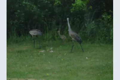 612 W 100 S, Hebron, IN 46341 - Photo 20