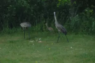 612 W 100 S, Hebron, IN 46341 - Photo 20