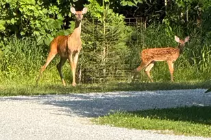 249 W 700 N, Valparaiso, IN 46385 - Photo 42
