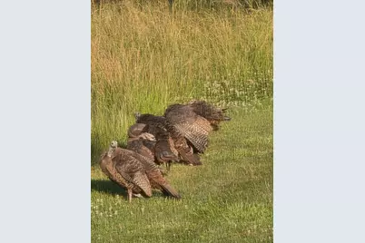 249 W 700 N, Valparaiso, IN 46385 - Photo 44