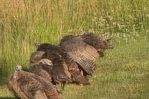 249 W 700 N, Valparaiso, IN 46385 - Photo 44