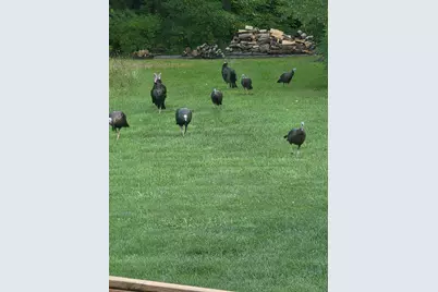 249 W 700 N, Valparaiso, IN 46385 - Photo 46