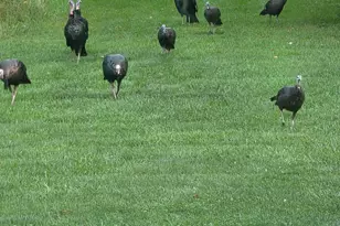 249 W 700 N, Valparaiso, IN 46385 - Photo 46