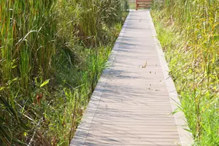 8262 Heron Lake Rd, Saint John, IN 46373 - Photo 12