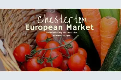 506 W Morgan Avenue, Chesterton, IN 46304 - Photo 42