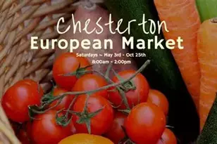 506 W Morgan Ave, Chesterton, IN 46304 - Photo 42