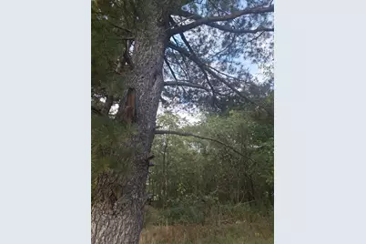 231-35 S Marion Street, Gary, IN 46403 - Photo 1