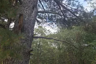 231-35 S Marion St, Gary, IN 46403 - Photo 1