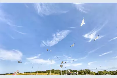 507 Center Street, Michigan City, IN 46360 - Photo 42