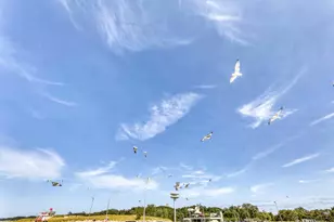 507 Center St, Michigan City, IN 46360 - Photo 42