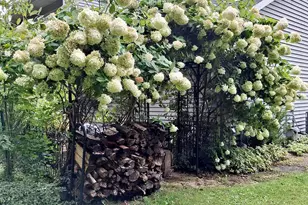 33671 Woodmont Ridge Dr, New Carlisle, IN 46552 - Photo 28