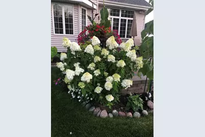 4934 Oriole Avenue, Schererville, IN 46375 - Photo 10