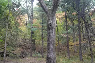 8553 S Main St, Monterey, IN 46960 - Photo 14